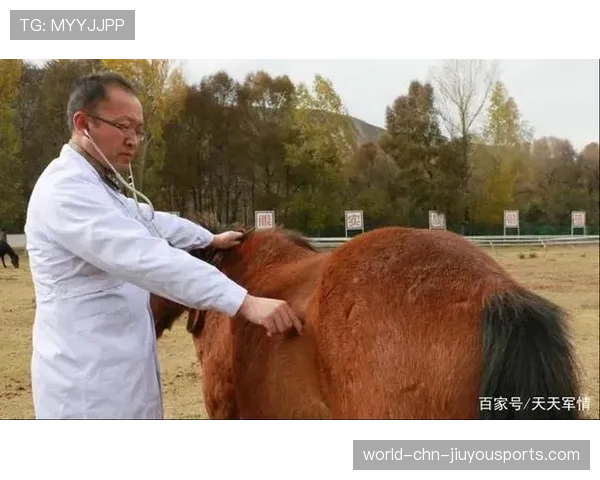 马厩的干草与粪便混合味：马术的代价，马的干粪便中药叫什么